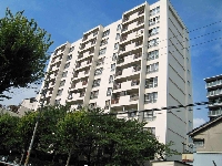 施行前