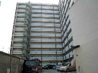 施行前