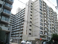 施行前
