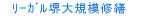 リーガル堺大規模修繕工事